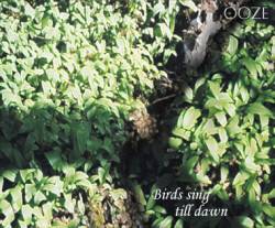 Ooze : Birds sing till dawn